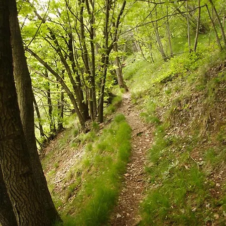 Il Nibbio Hotel Magreglio