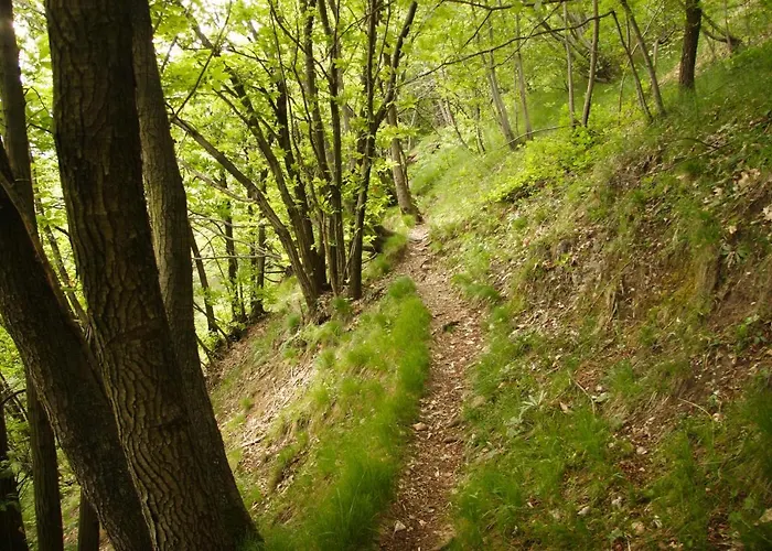 Il Nibbio فندق Magreglio