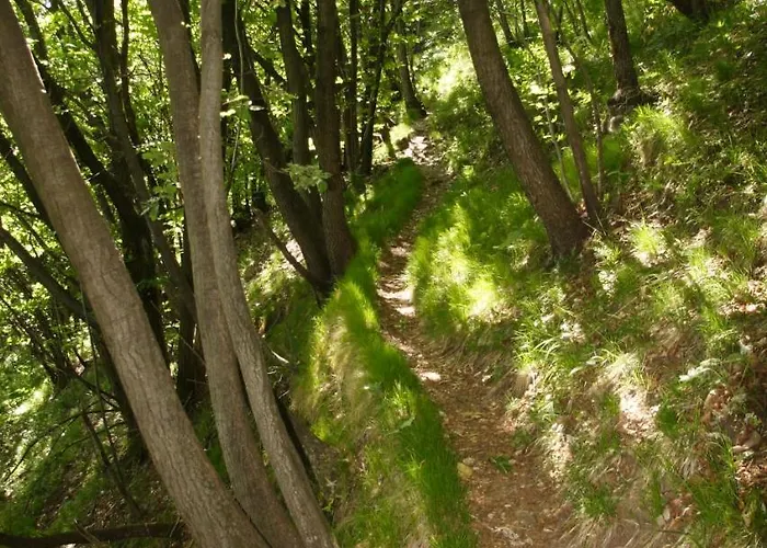 מלון Il Nibbio 2*